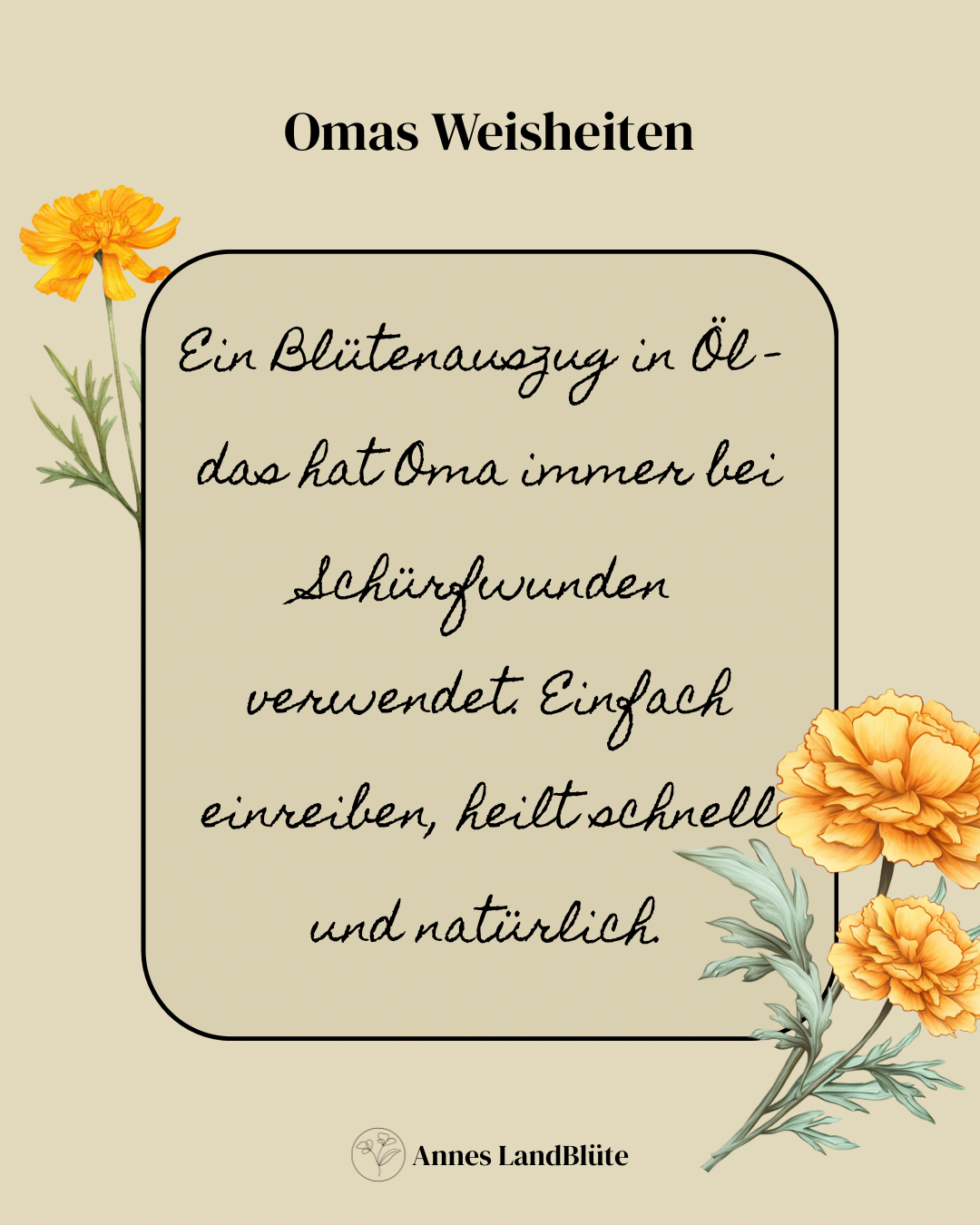 Handschriftlicher Hinweis, Ringelblumen Blütenauszug, Omas Altes Wissen