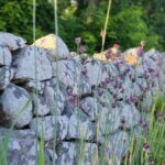Schweden, Felswall, Natur
