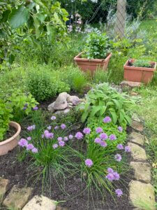 Kräuterbeet, Kräuter, Garten