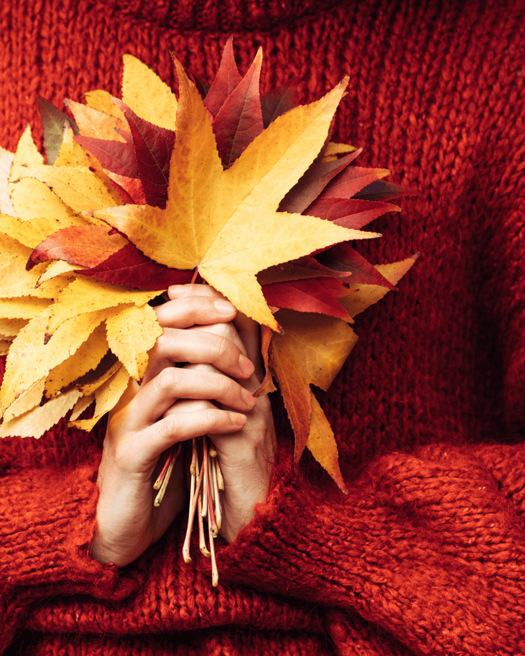 Buntes Herbstlaub in Händen