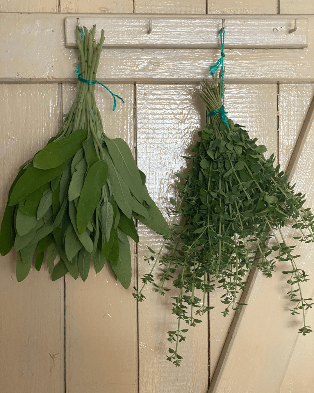 Kräuter an Holztür