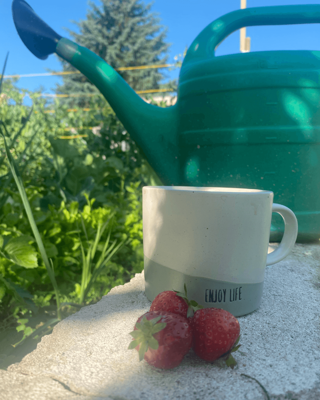 Erdbeeren, Tasse mit Titel Enjoy Life, Gießkanne