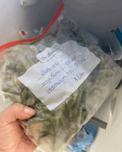 Bohnen Gefrierschrank