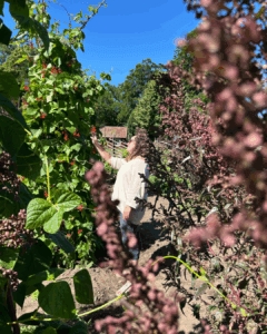 Frau im Gemüsegarten