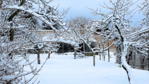 Wintergarten mit Schnee