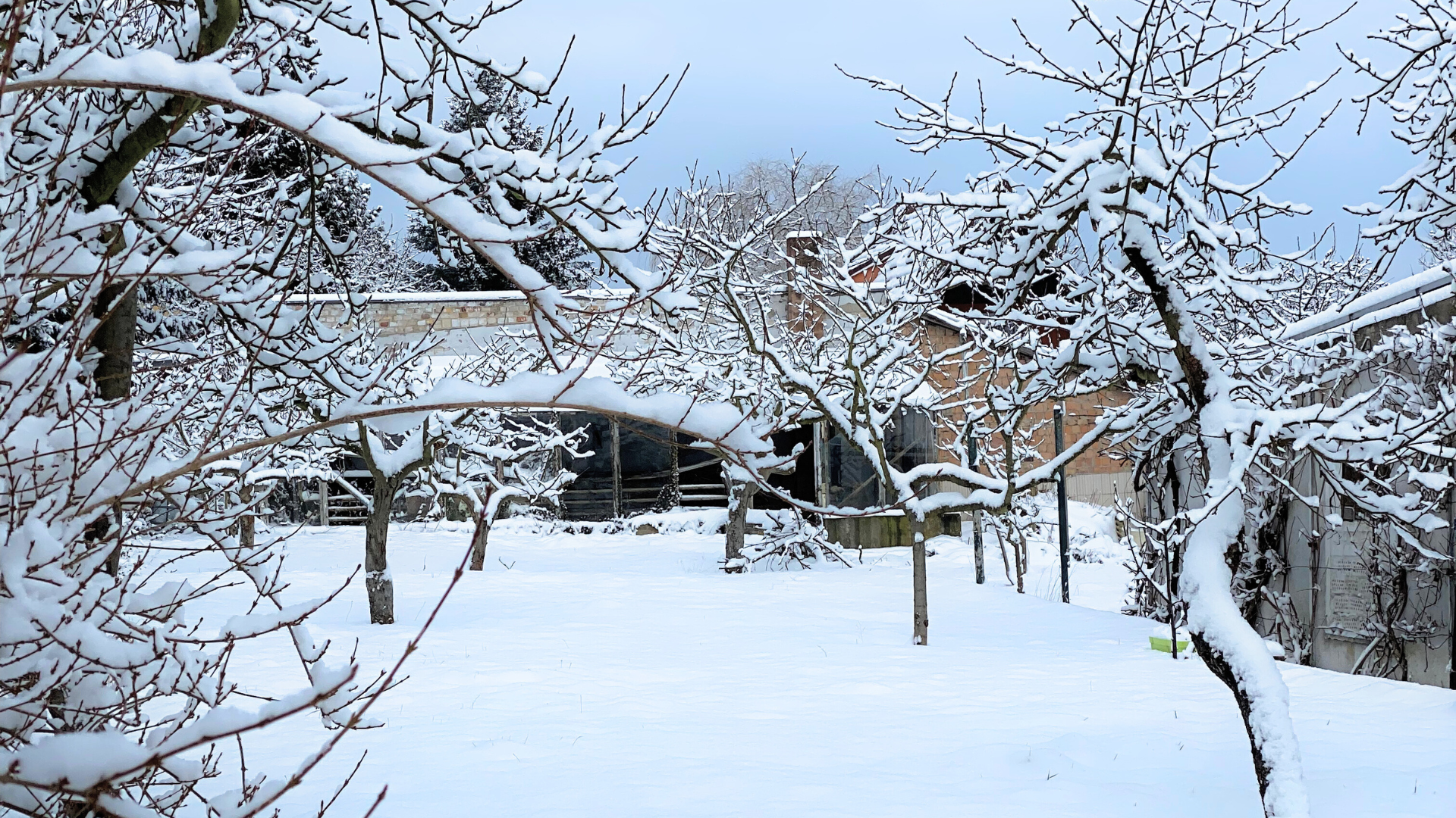 Wintergarten mit Schnee
