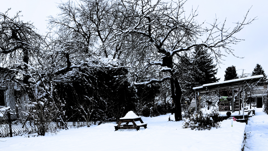 Winter im Garten
