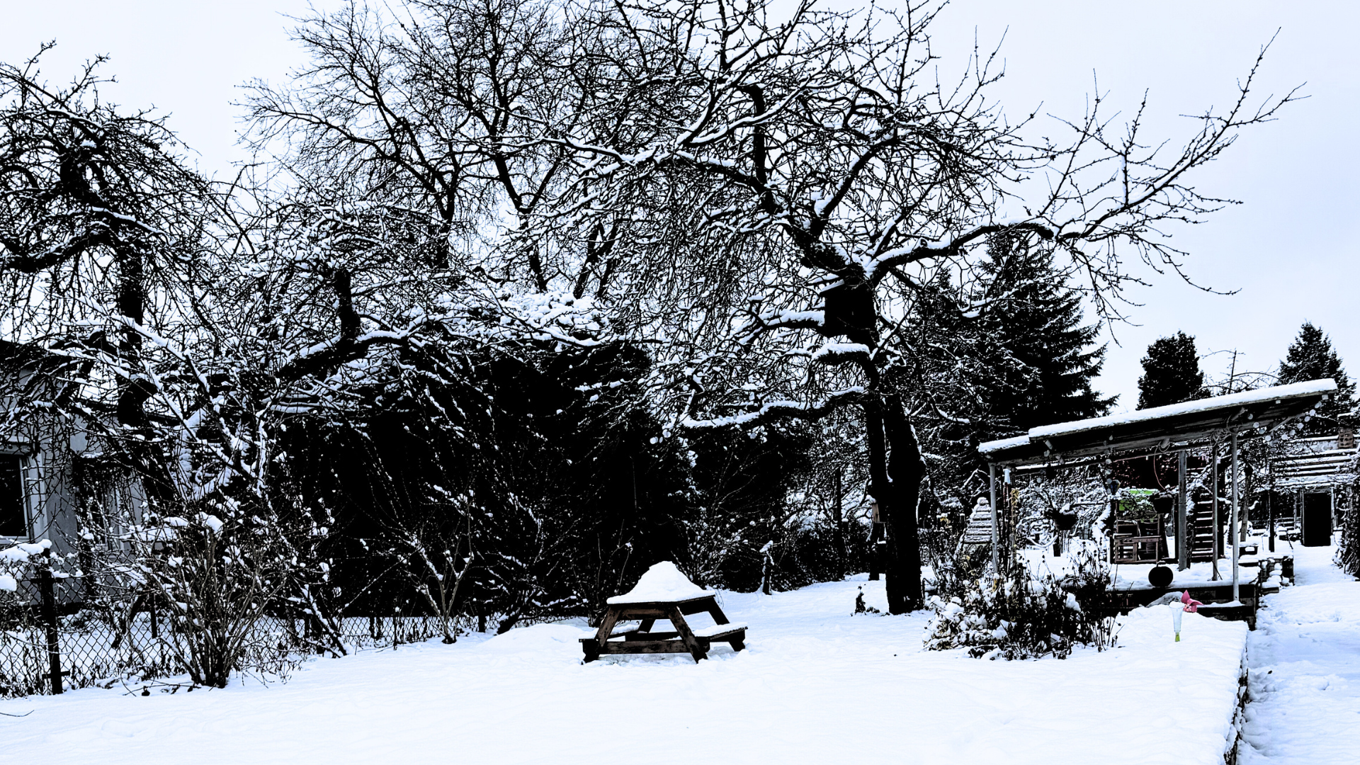 Ro, Lugn und Hopp – was der nordische Winter uns wirklich lehrt