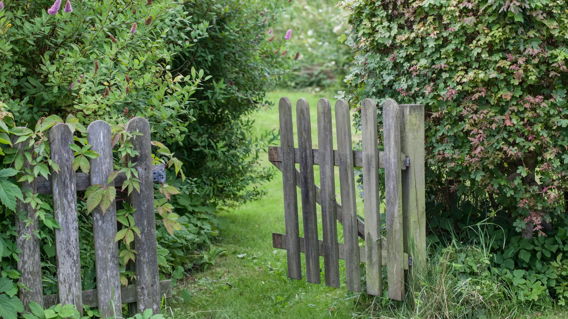Friluftsliv: Warum draußen sein dein Leben verändert