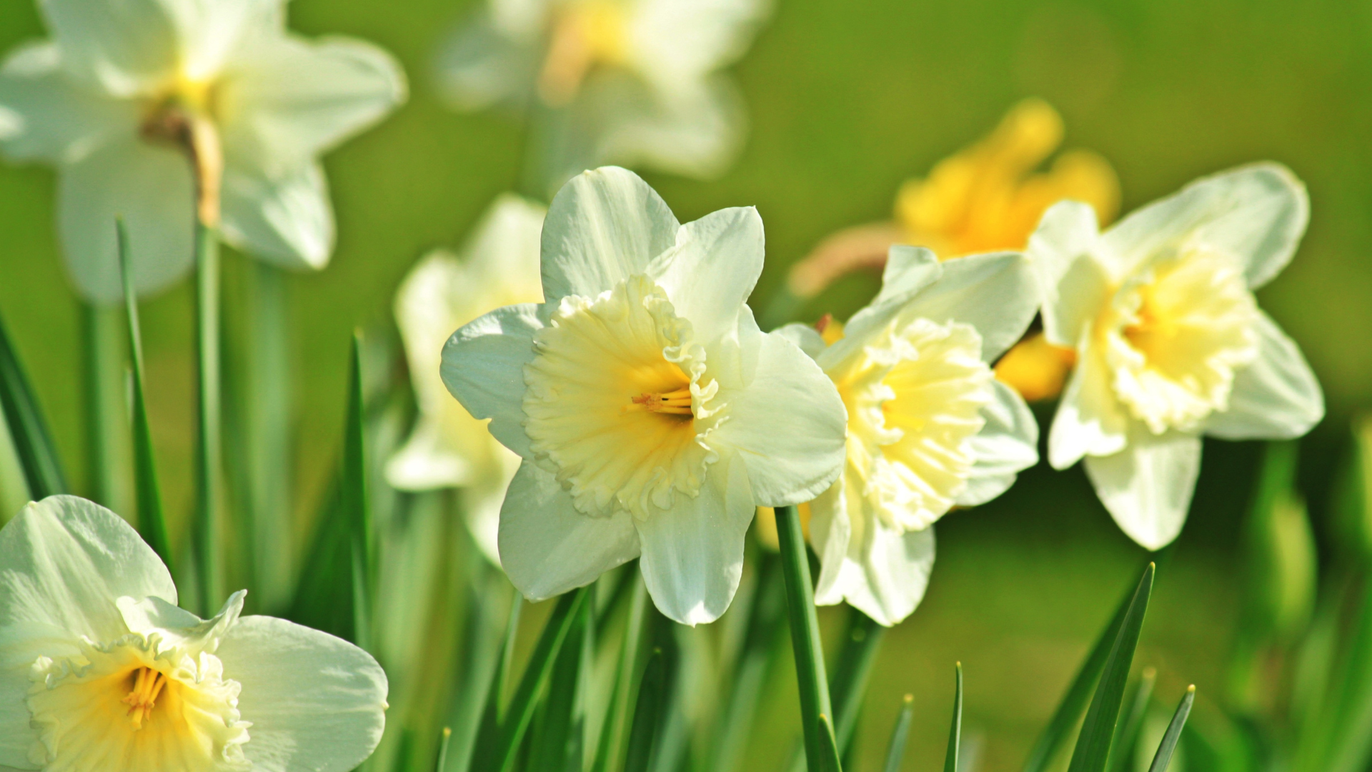 April im SkandiGarten: Wenn wieder Bewegung ins Leben kommt – ganz leise