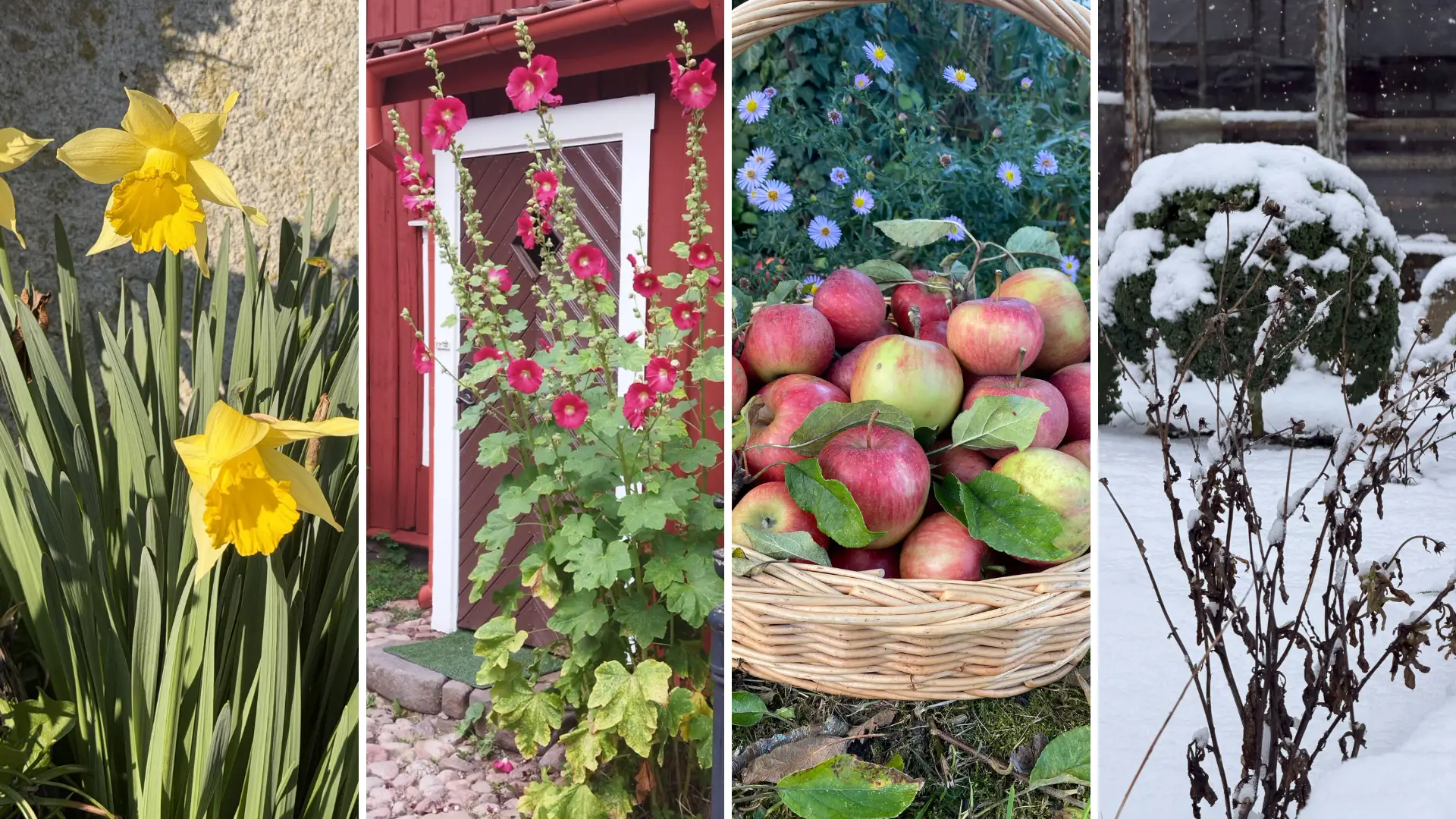 SkandiGarten im Jahreskreis – Leben mit den Jahreszeiten